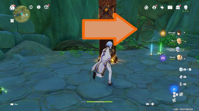 At this point there is a cave entrance that you can easily miss.  (Source: Screenshot game tips)