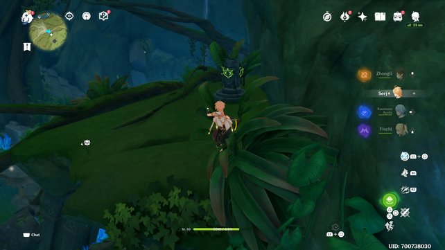 Location of the fourth dendro stele.  (Source: Screenshot game tips)